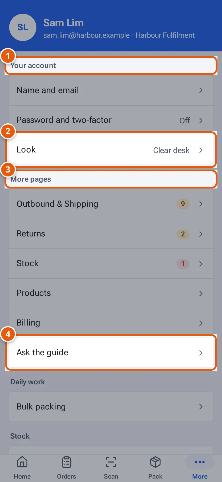 The More screen: Your account, Look, the More pages with their counts, and Ask the guide